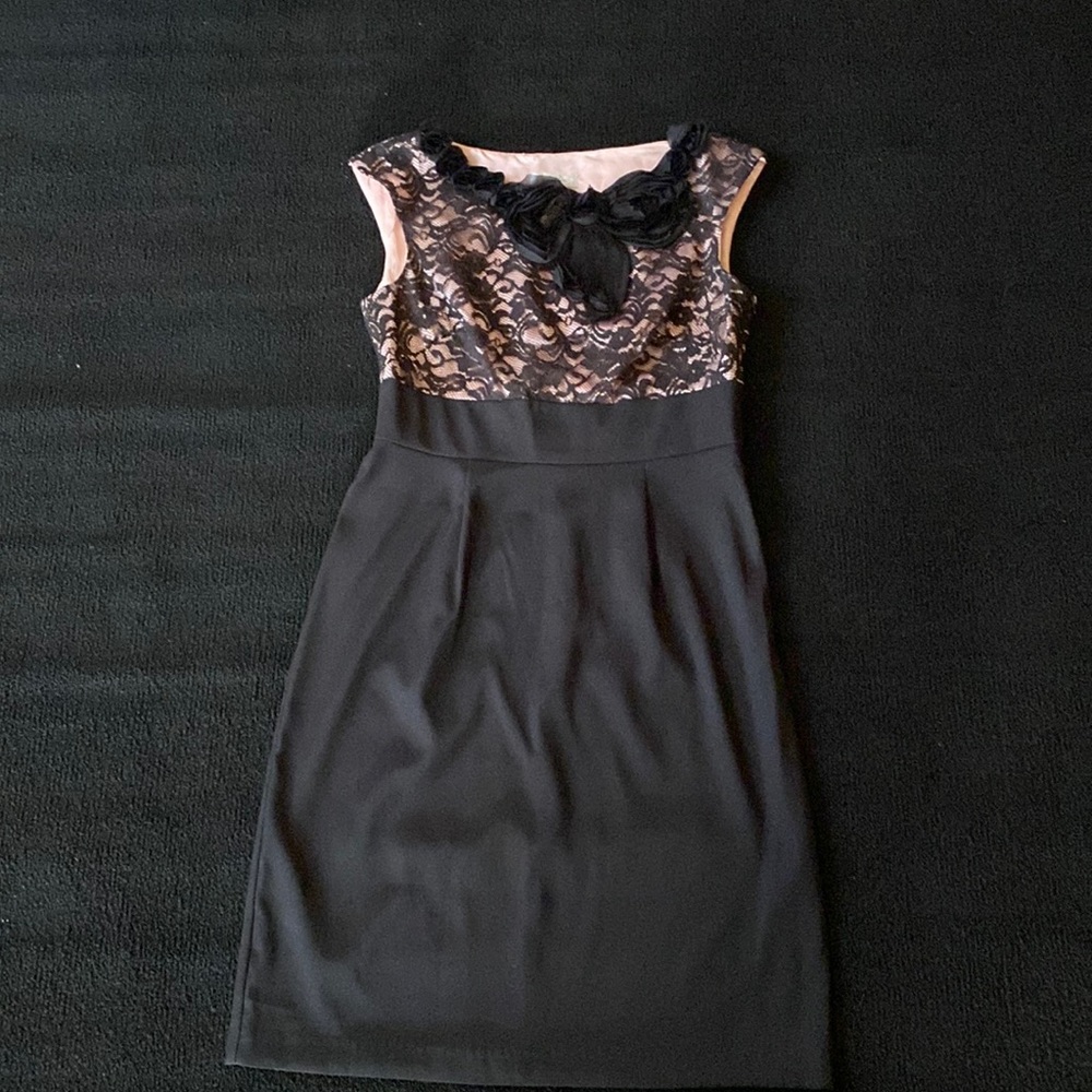 Dress barn dress